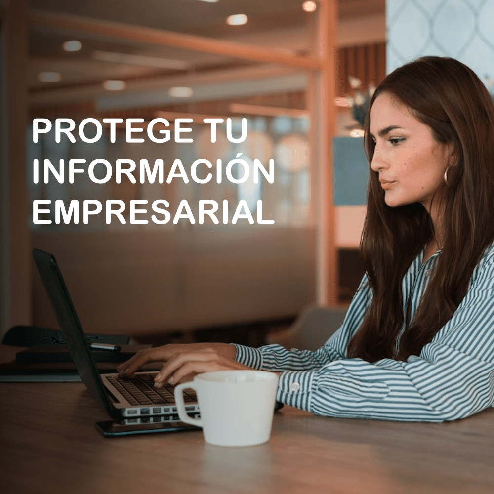 En este momento estás viendo 5 Tips para proteger la información empresarial